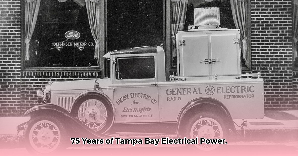 borrell-electric-fl